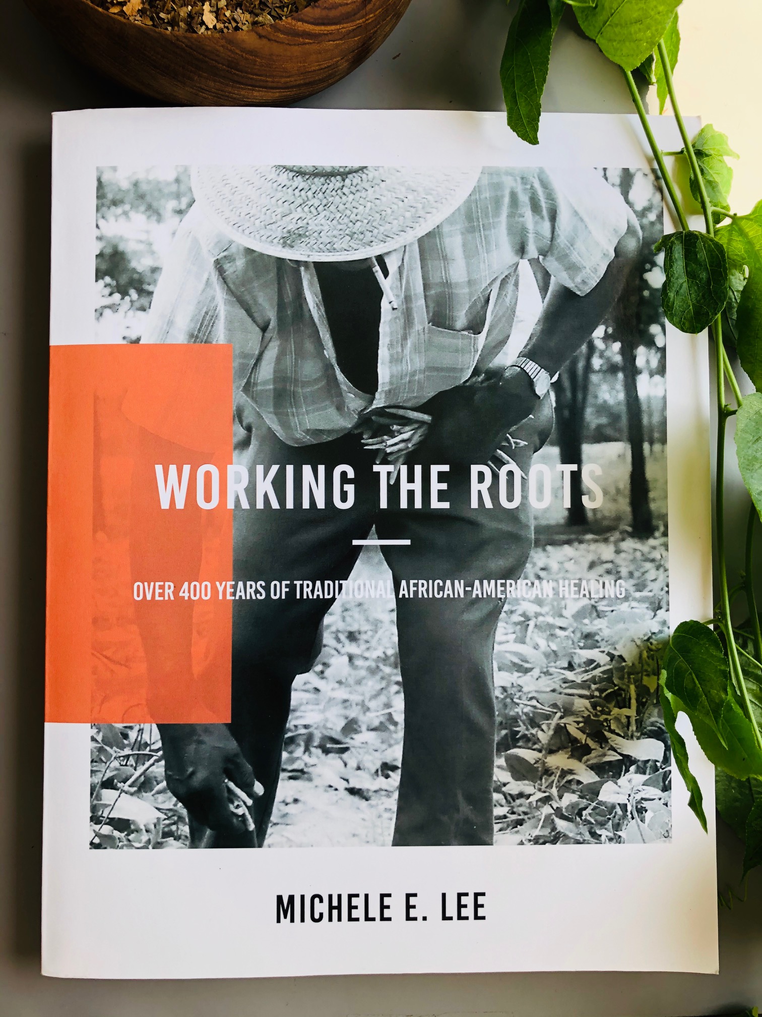 Working The Roots: Over 400 Years of Traditional African-American